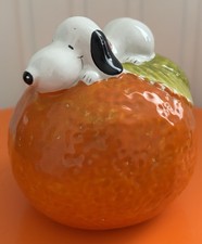 Snoopy Peanuts Orange Money