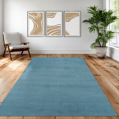 Tapis turquoise moderne doux