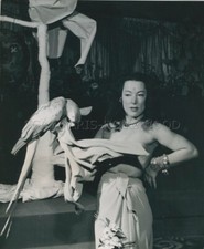 SEXY PIN-UP 1950s  PHOTO