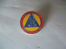 PINS  EDF  GDF SERVICES  VAR