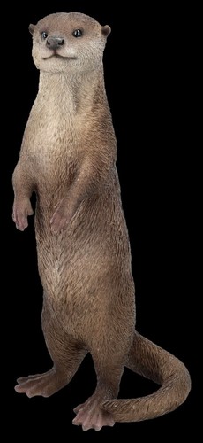 Jardin otter se tenant - otter,