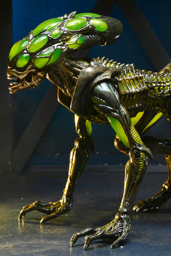 Aliens fireteam elite - aliens, :