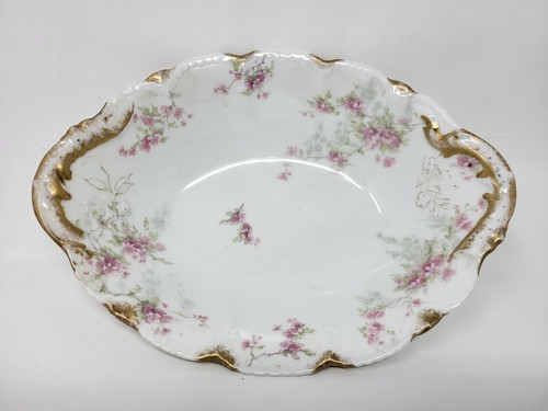 Theodore haviland schleiger - haviland,