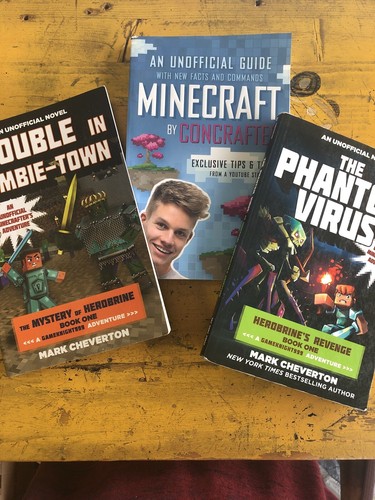 Lot minecraft books - lot,