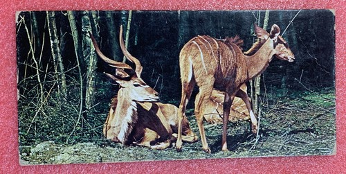 Carte merveilles monde - carte,