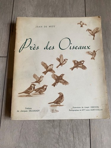 Jean witt près des - de,