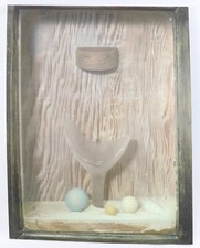 The Bergman Collection - May