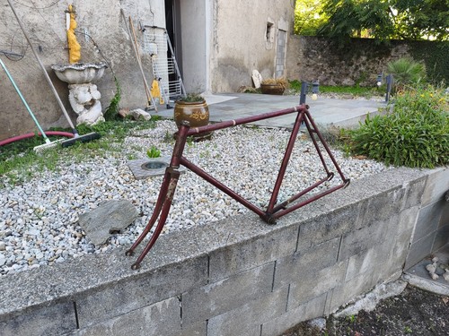 Cadre vélo ancien terrot - ancien,