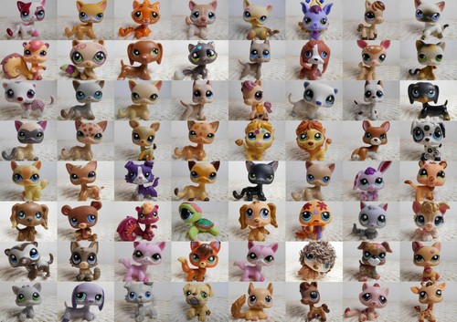 Lps littlest petshop - petshop, shop