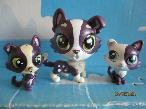 Petshop maman chien colley - chien,