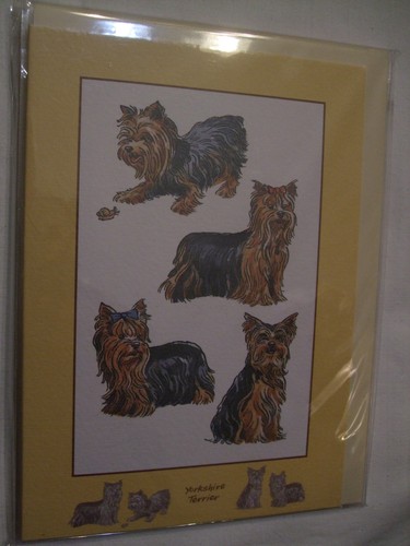 Carte enveloppe chien - +,