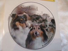 1 autocollant- motif chien SHETLAND avec les 3 couleurs