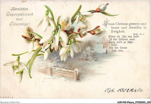 Ajrp10 1037 fleurs jesus - fleurs,