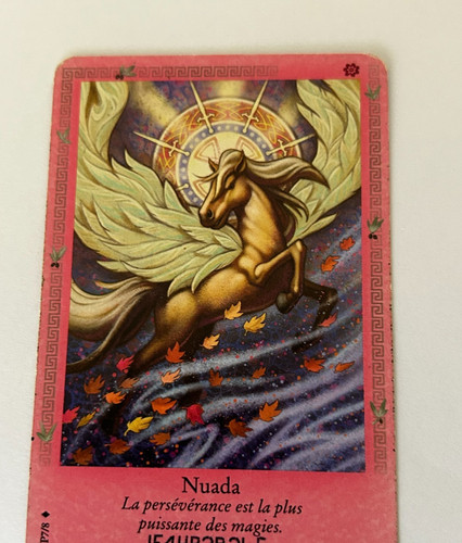 Carte bella sara nuada - carte, n°