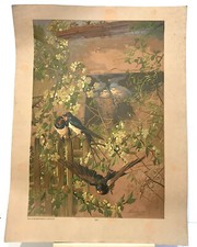 ancienne affiche Leonce et