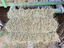 Foin bio certifié coupe 2024, à prendre sur place.  