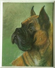 Pastel vers 1950 chien Boxer 