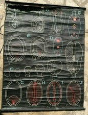 affiche scolaire planche