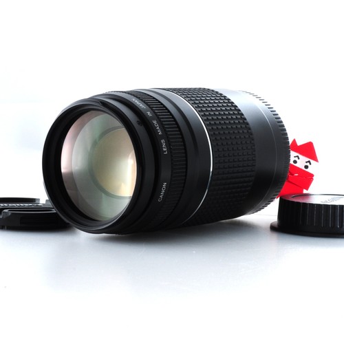 Téléobjectif zoom canon - téléobjectif, ef