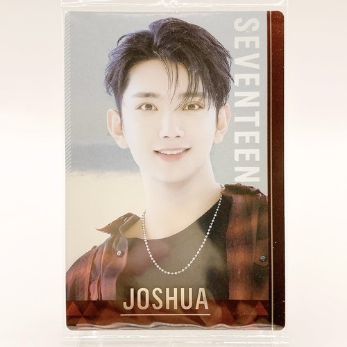 Seventeen joshua twin wafer - joshua,