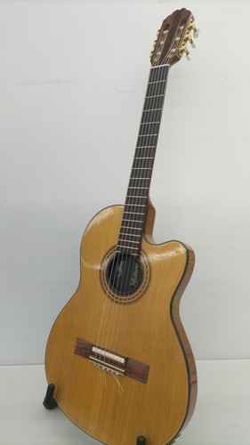 Guitare acoustique électrique
