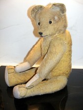 Rapfael très ancien ours