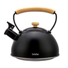 Bouilloire à Induction