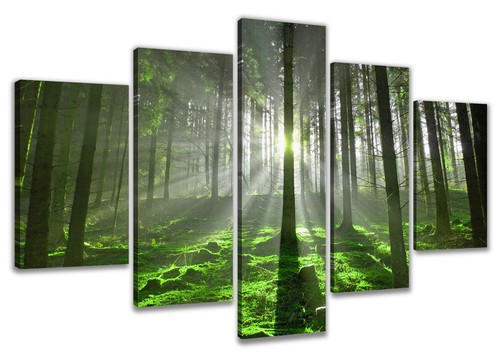 Tableau sur toile foret rayons - sur,
