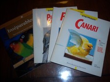 livre HACHETTE lot de 4 petits pratiques PERRUCHES CANARI INSEPARABLES "oiseaux"