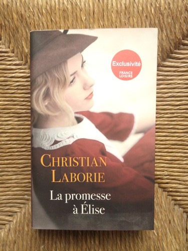 Livre roman promesse à - roman,