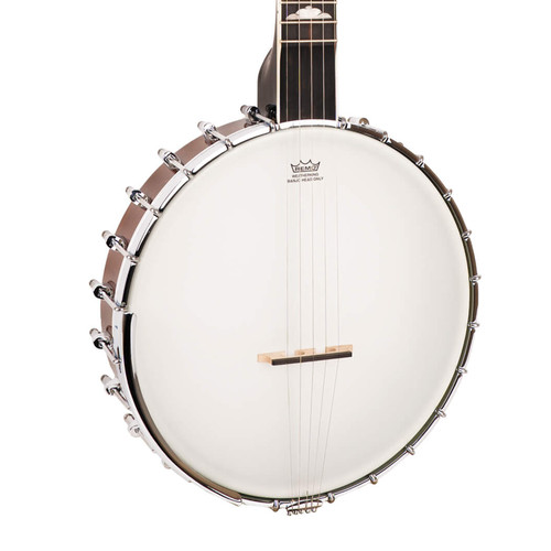 Gold tone mastertone 250 - gold,