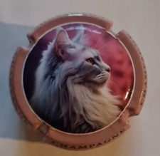 Capsule de champagne Jéroboam Générique. Fevrier 2024.