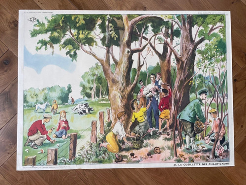 Affiche originale école - d'école,
