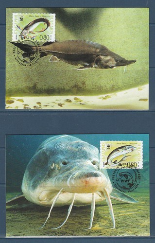 Wwf carte bulgarie - wwf,