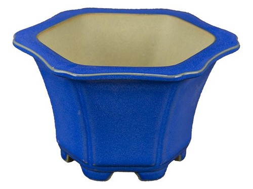 Pot bonsaï hexagonal - bonsaï,