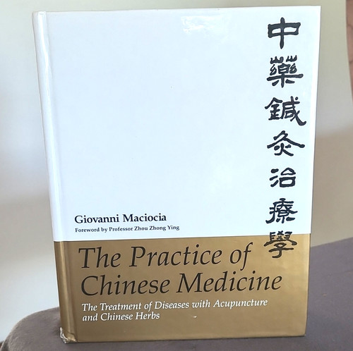 The practice chinese - the,