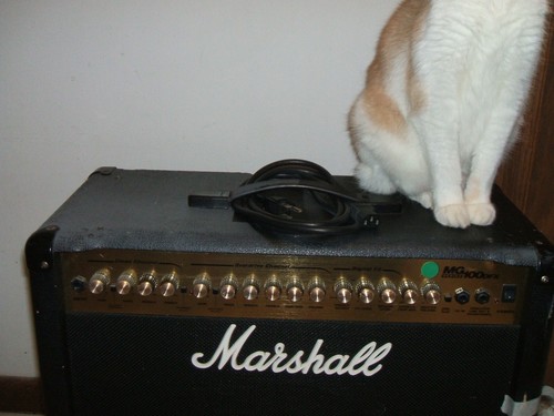 Marshall 100 dfx combo - dfx,