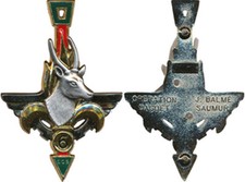  6° R.E.G, Genie, LEGION