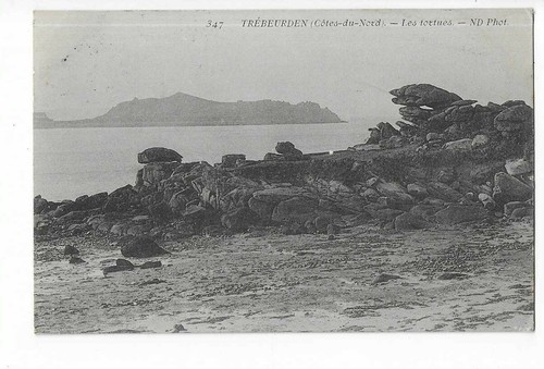 Trebeurden es tortues - trebeurden,