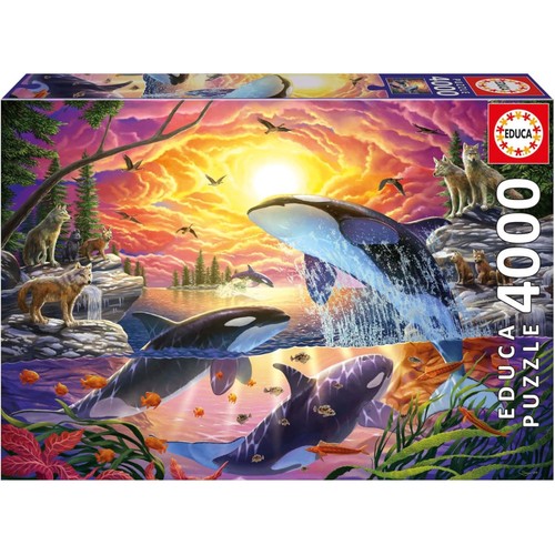 Puzzle les orques et - les,