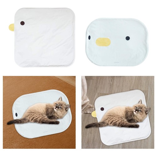 Tapis rafraîchissant pour