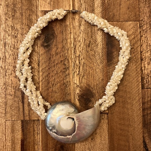 Nautilus mother pearl - mother, of