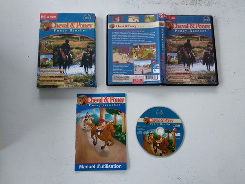Cheval poney - poney, rancher