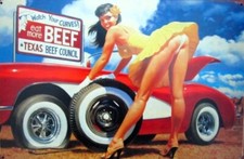 PLAQUE DECORATIVE PIN UP /