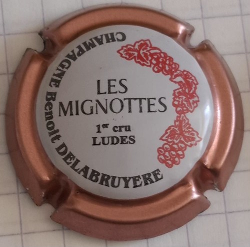 Capsule champagne benoît - de,