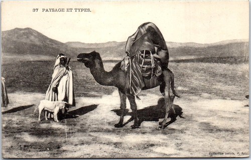 Algerie scenes types cartes - et,