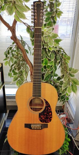 Larrivee 12 string - l-03-12, 12-string