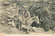 Algérie - Scènes et Types - Yaouleds sur le bourricot - Animée - Anes - Précurse