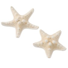  2 Pcs Décoration Aquarium