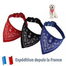 Collier avec bandana pour
